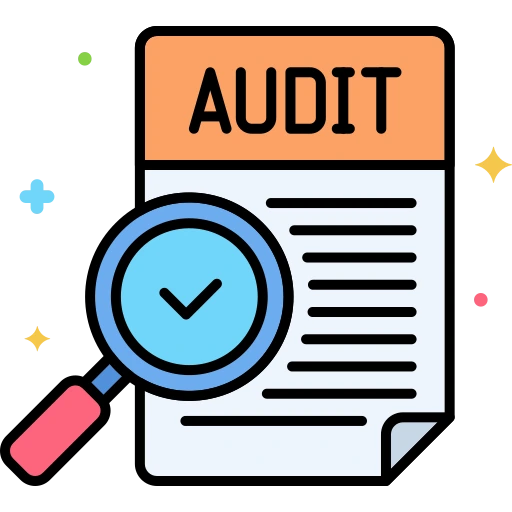 Audit Implementation