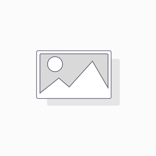 Asyst Project